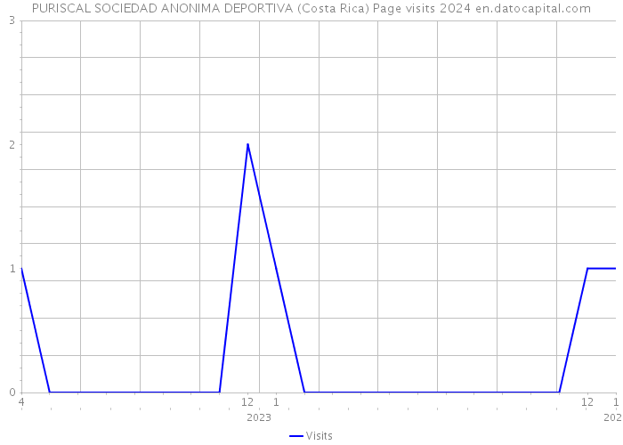 PURISCAL SOCIEDAD ANONIMA DEPORTIVA (Costa Rica) Page visits 2024 