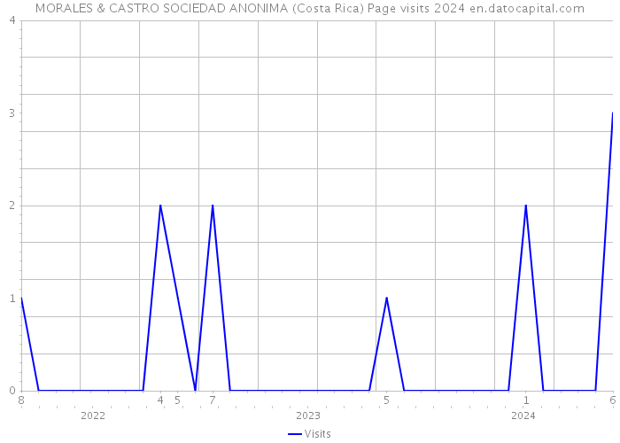 MORALES & CASTRO SOCIEDAD ANONIMA (Costa Rica) Page visits 2024 
