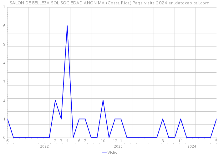 SALON DE BELLEZA SOL SOCIEDAD ANONIMA (Costa Rica) Page visits 2024 