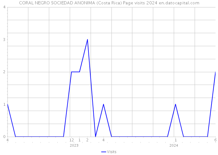 CORAL NEGRO SOCIEDAD ANONIMA (Costa Rica) Page visits 2024 