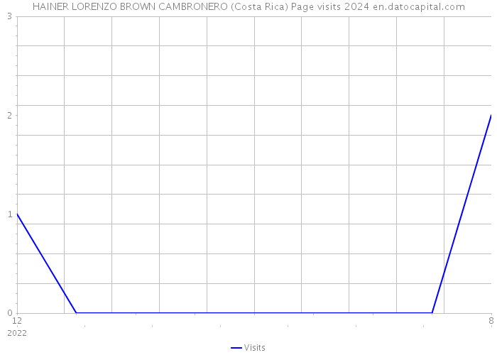 HAINER LORENZO BROWN CAMBRONERO (Costa Rica) Page visits 2024 