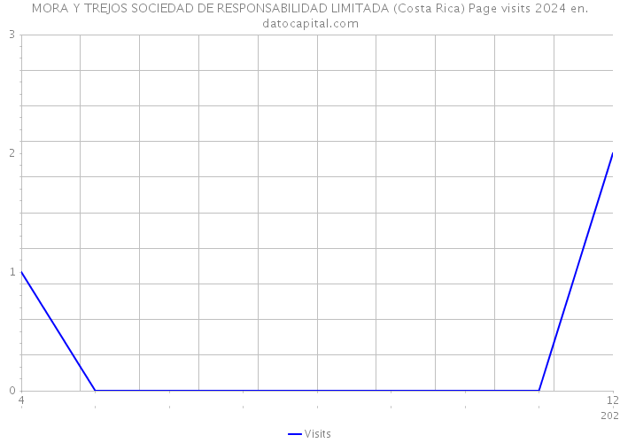 MORA Y TREJOS SOCIEDAD DE RESPONSABILIDAD LIMITADA (Costa Rica) Page visits 2024 