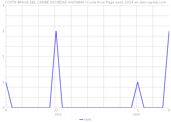 COSTA BRAVA DEL CARIBE SOCIEDAD ANONIMA (Costa Rica) Page visits 2024 