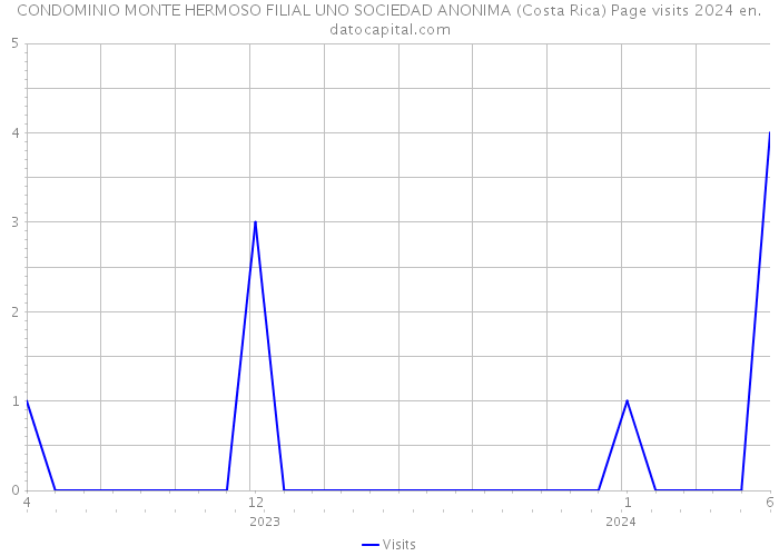 CONDOMINIO MONTE HERMOSO FILIAL UNO SOCIEDAD ANONIMA (Costa Rica) Page visits 2024 