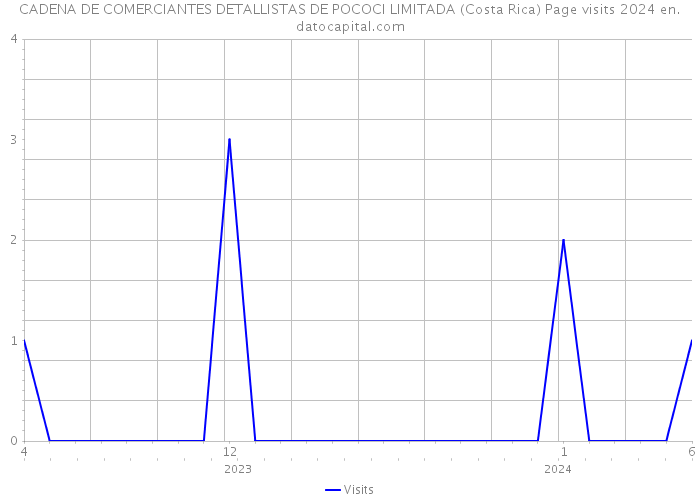 CADENA DE COMERCIANTES DETALLISTAS DE POCOCI LIMITADA (Costa Rica) Page visits 2024 