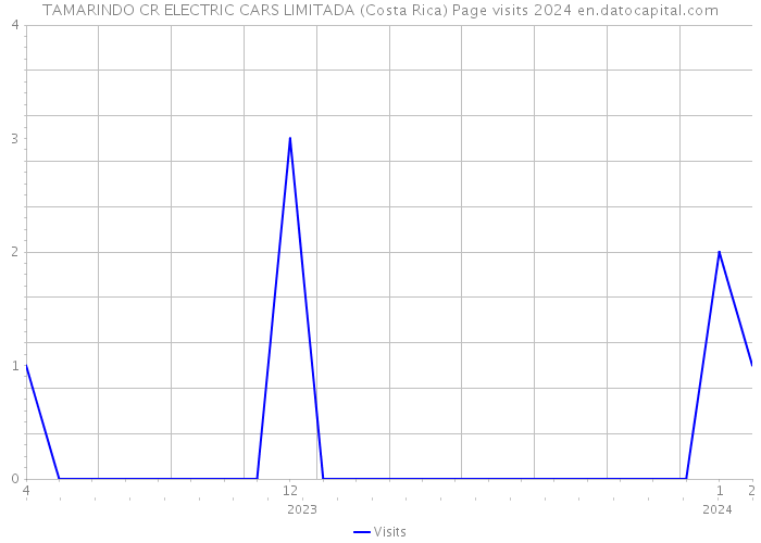 TAMARINDO CR ELECTRIC CARS LIMITADA (Costa Rica) Page visits 2024 