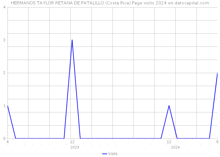 HERMANOS TAYLOR RETANA DE PATALILLO (Costa Rica) Page visits 2024 