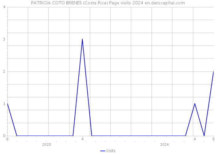 PATRICIA COTO BRENES (Costa Rica) Page visits 2024 