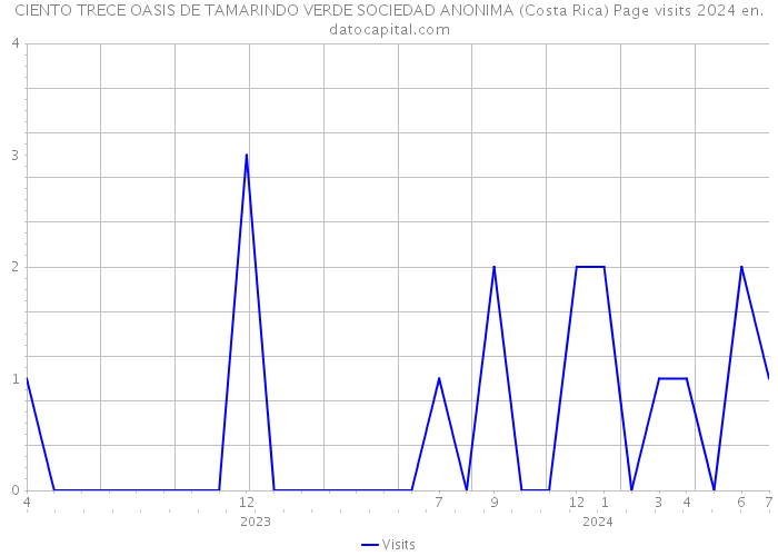 CIENTO TRECE OASIS DE TAMARINDO VERDE SOCIEDAD ANONIMA (Costa Rica) Page visits 2024 