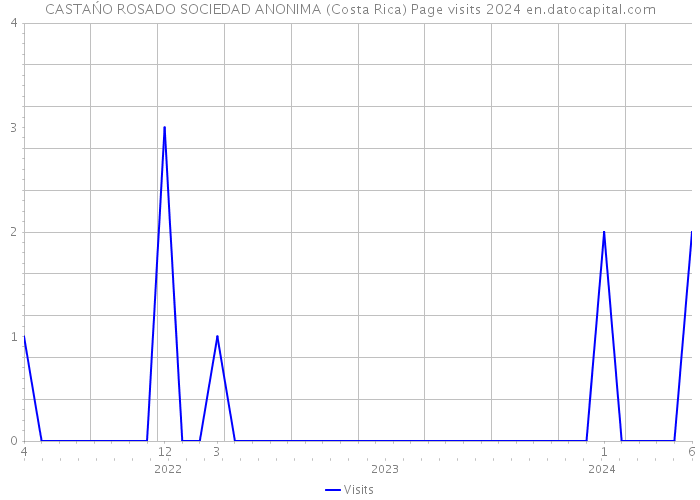 CASTAŃO ROSADO SOCIEDAD ANONIMA (Costa Rica) Page visits 2024 