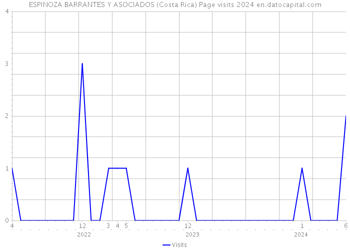 ESPINOZA BARRANTES Y ASOCIADOS (Costa Rica) Page visits 2024 