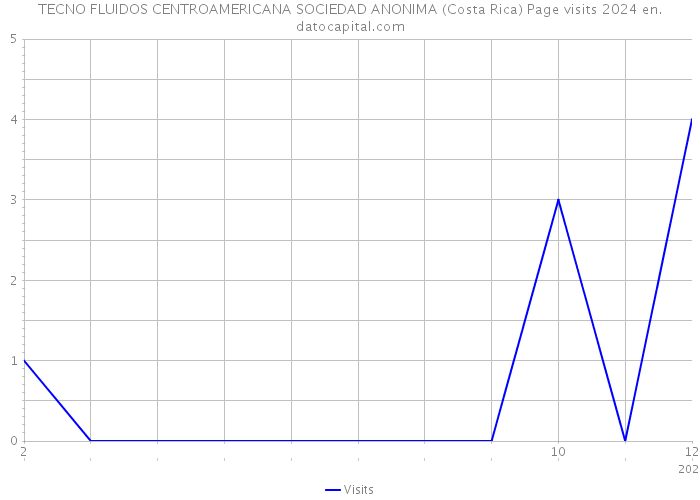 TECNO FLUIDOS CENTROAMERICANA SOCIEDAD ANONIMA (Costa Rica) Page visits 2024 