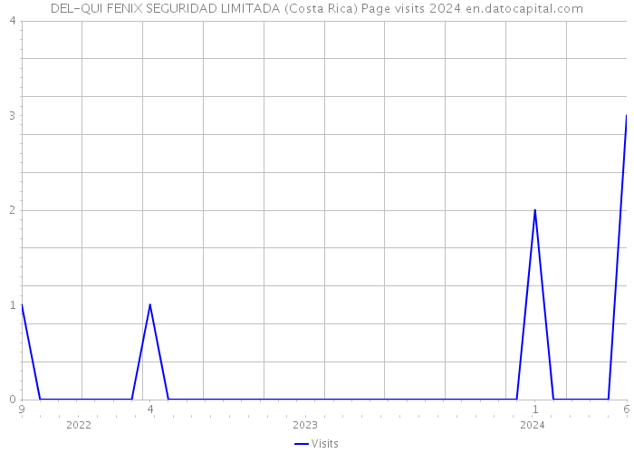 DEL-QUI FENIX SEGURIDAD LIMITADA (Costa Rica) Page visits 2024 