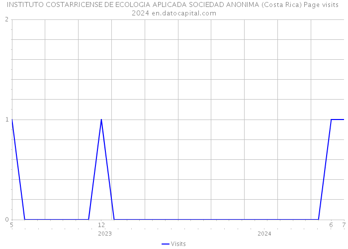 INSTITUTO COSTARRICENSE DE ECOLOGIA APLICADA SOCIEDAD ANONIMA (Costa Rica) Page visits 2024 