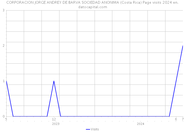 CORPORACION JORGE ANDREY DE BARVA SOCIEDAD ANONIMA (Costa Rica) Page visits 2024 