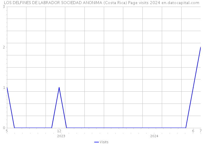 LOS DELFINES DE LABRADOR SOCIEDAD ANONIMA (Costa Rica) Page visits 2024 