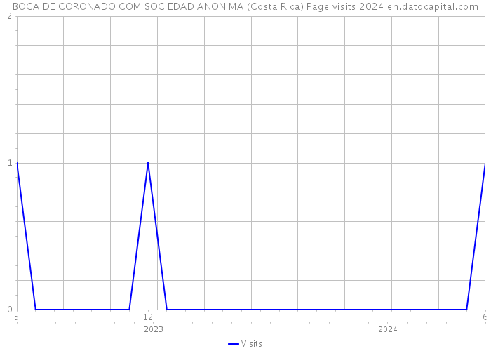 BOCA DE CORONADO COM SOCIEDAD ANONIMA (Costa Rica) Page visits 2024 