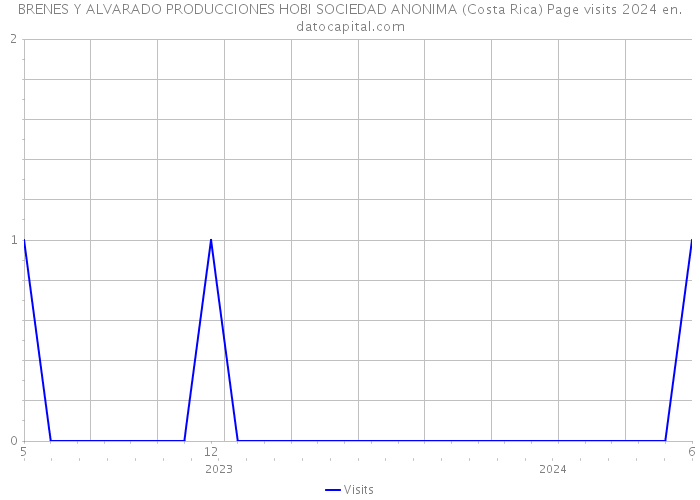 BRENES Y ALVARADO PRODUCCIONES HOBI SOCIEDAD ANONIMA (Costa Rica) Page visits 2024 