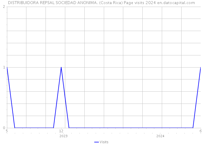 DISTRIBUIDORA REPSAL SOCIEDAD ANONIMA. (Costa Rica) Page visits 2024 