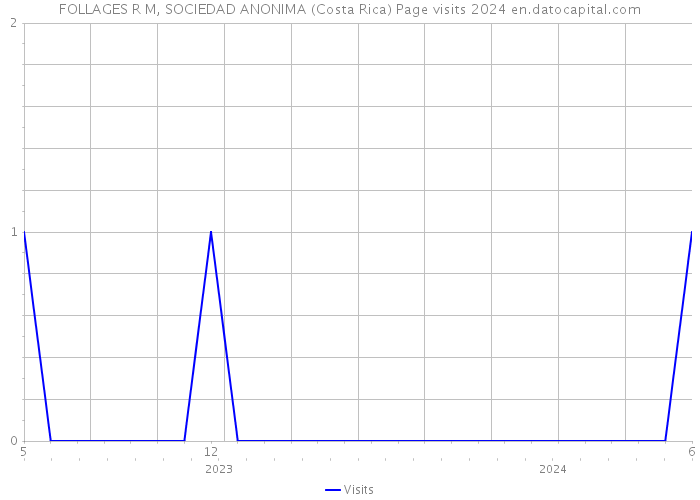 FOLLAGES R M, SOCIEDAD ANONIMA (Costa Rica) Page visits 2024 