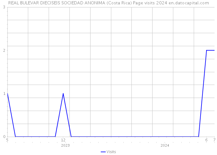 REAL BULEVAR DIECISEIS SOCIEDAD ANONIMA (Costa Rica) Page visits 2024 