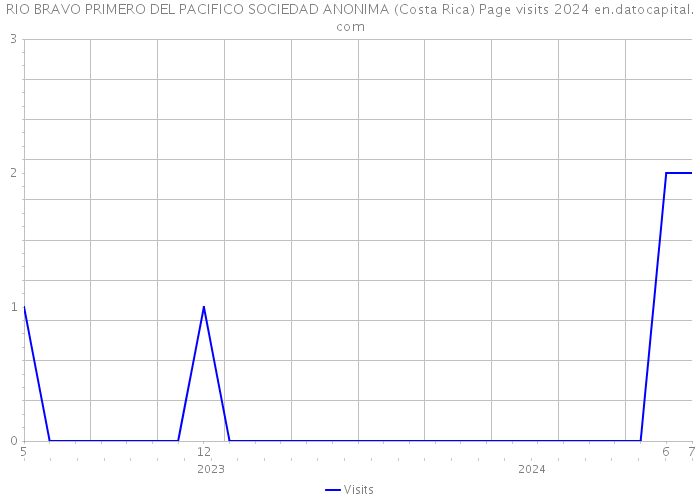 RIO BRAVO PRIMERO DEL PACIFICO SOCIEDAD ANONIMA (Costa Rica) Page visits 2024 