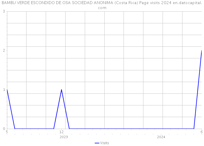BAMBU VERDE ESCONDIDO DE OSA SOCIEDAD ANONIMA (Costa Rica) Page visits 2024 