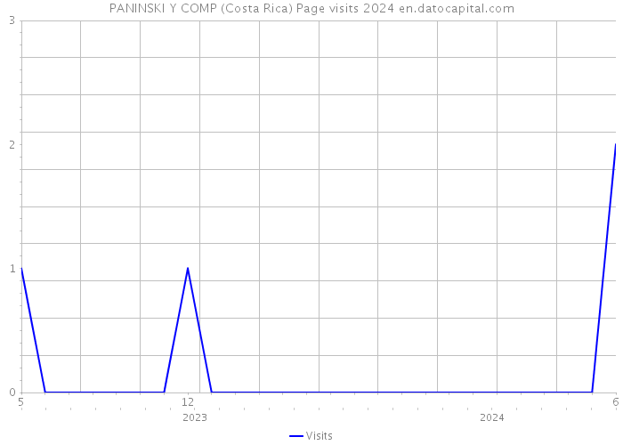 PANINSKI Y COMP (Costa Rica) Page visits 2024 