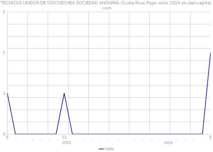 TECNICOS UNIDOS DE GOICOECHEA SOCIEDAD ANONIMA (Costa Rica) Page visits 2024 