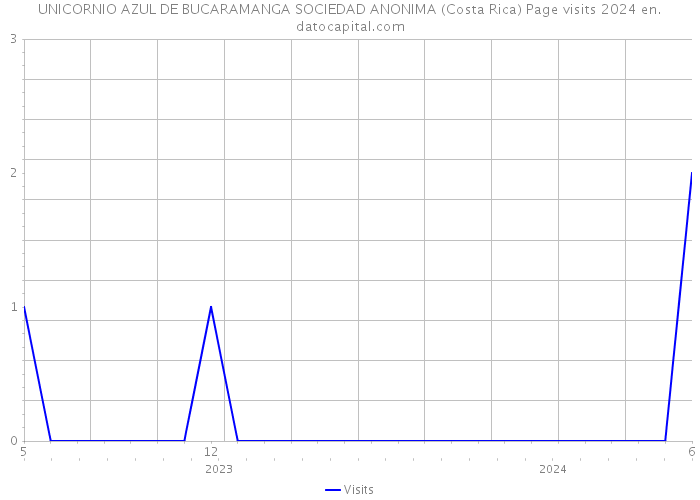 UNICORNIO AZUL DE BUCARAMANGA SOCIEDAD ANONIMA (Costa Rica) Page visits 2024 