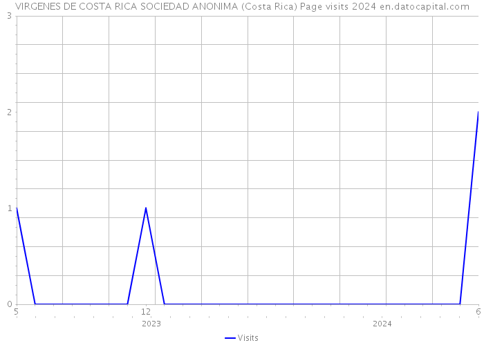 VIRGENES DE COSTA RICA SOCIEDAD ANONIMA (Costa Rica) Page visits 2024 