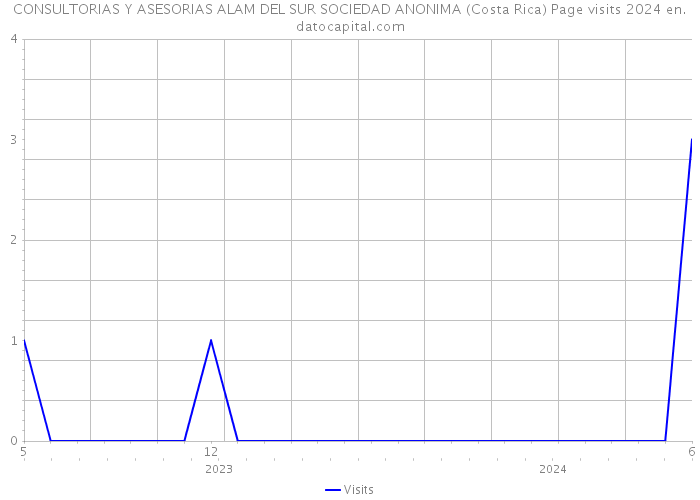 CONSULTORIAS Y ASESORIAS ALAM DEL SUR SOCIEDAD ANONIMA (Costa Rica) Page visits 2024 