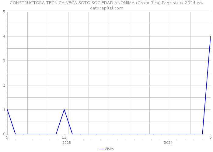 CONSTRUCTORA TECNICA VEGA SOTO SOCIEDAD ANONIMA (Costa Rica) Page visits 2024 