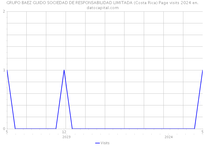 GRUPO BAEZ GUIDO SOCIEDAD DE RESPONSABILIDAD LIMITADA (Costa Rica) Page visits 2024 