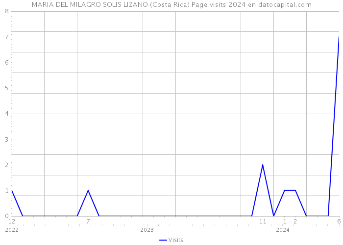 MARIA DEL MILAGRO SOLIS LIZANO (Costa Rica) Page visits 2024 