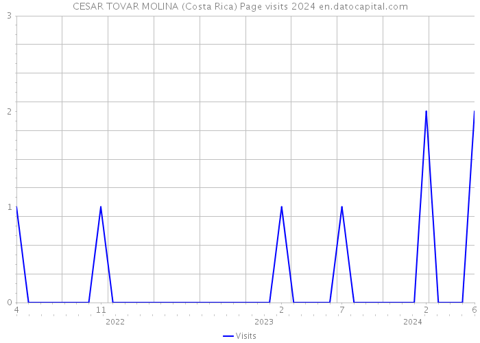 CESAR TOVAR MOLINA (Costa Rica) Page visits 2024 