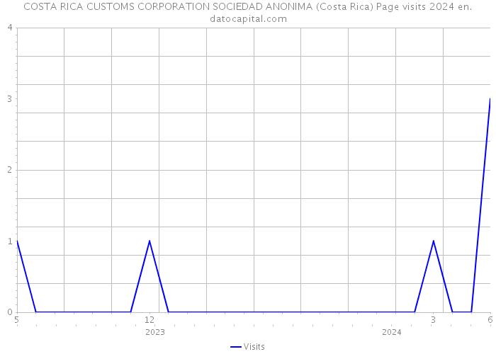 COSTA RICA CUSTOMS CORPORATION SOCIEDAD ANONIMA (Costa Rica) Page visits 2024 