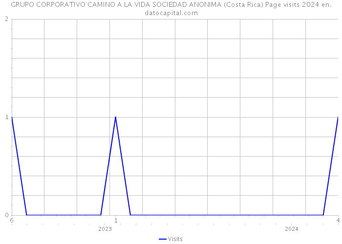 GRUPO CORPORATIVO CAMINO A LA VIDA SOCIEDAD ANONIMA (Costa Rica) Page visits 2024 