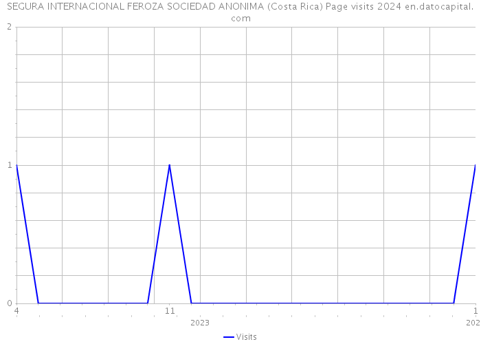SEGURA INTERNACIONAL FEROZA SOCIEDAD ANONIMA (Costa Rica) Page visits 2024 