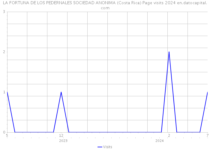 LA FORTUNA DE LOS PEDERNALES SOCIEDAD ANONIMA (Costa Rica) Page visits 2024 