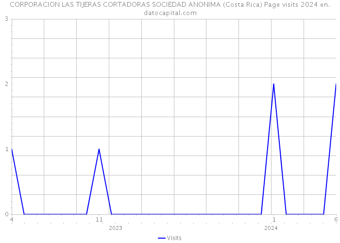CORPORACION LAS TIJERAS CORTADORAS SOCIEDAD ANONIMA (Costa Rica) Page visits 2024 