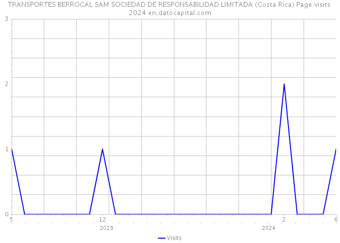 TRANSPORTES BERROCAL SAM SOCIEDAD DE RESPONSABILIDAD LIMITADA (Costa Rica) Page visits 2024 