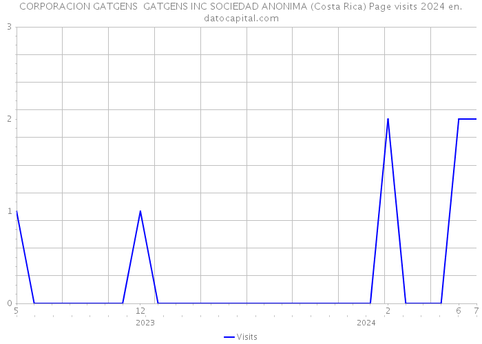 CORPORACION GATGENS GATGENS INC SOCIEDAD ANONIMA (Costa Rica) Page visits 2024 
