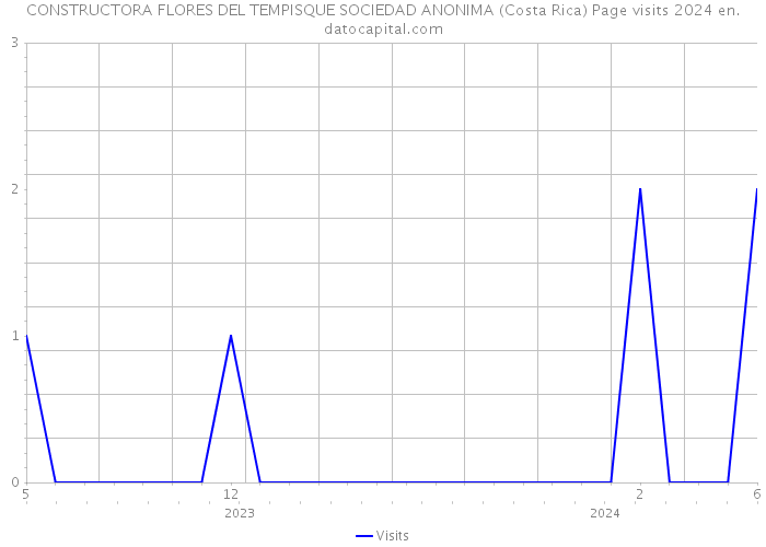 CONSTRUCTORA FLORES DEL TEMPISQUE SOCIEDAD ANONIMA (Costa Rica) Page visits 2024 