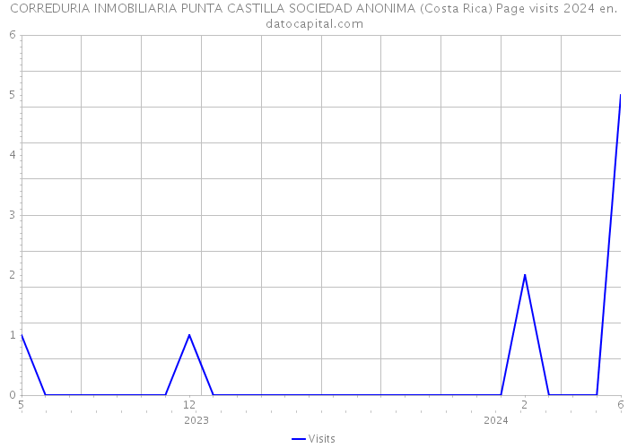 CORREDURIA INMOBILIARIA PUNTA CASTILLA SOCIEDAD ANONIMA (Costa Rica) Page visits 2024 