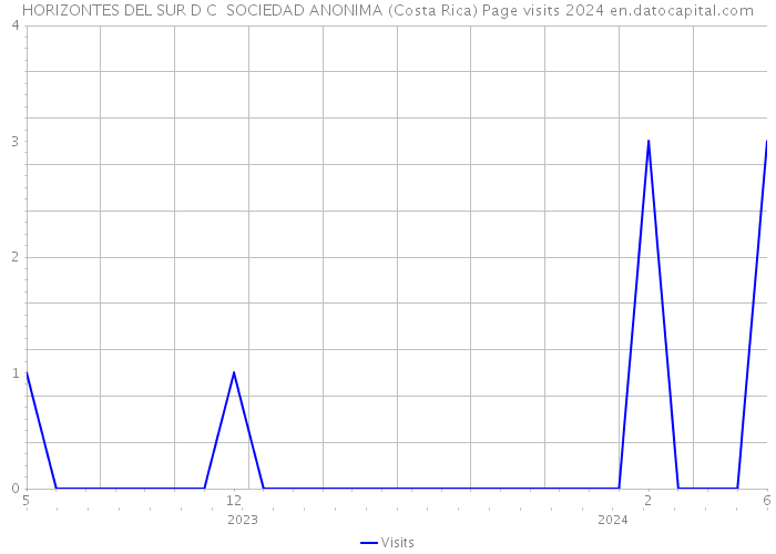 HORIZONTES DEL SUR D C SOCIEDAD ANONIMA (Costa Rica) Page visits 2024 