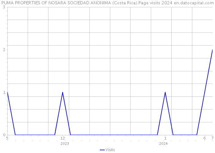 PUMA PROPERTIES OF NOSARA SOCIEDAD ANONIMA (Costa Rica) Page visits 2024 