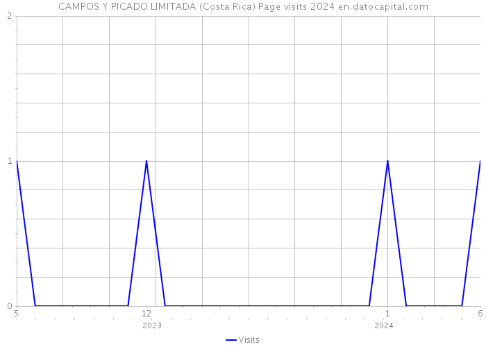 CAMPOS Y PICADO LIMITADA (Costa Rica) Page visits 2024 