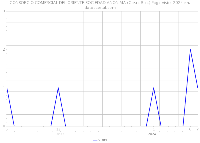 CONSORCIO COMERCIAL DEL ORIENTE SOCIEDAD ANONIMA (Costa Rica) Page visits 2024 