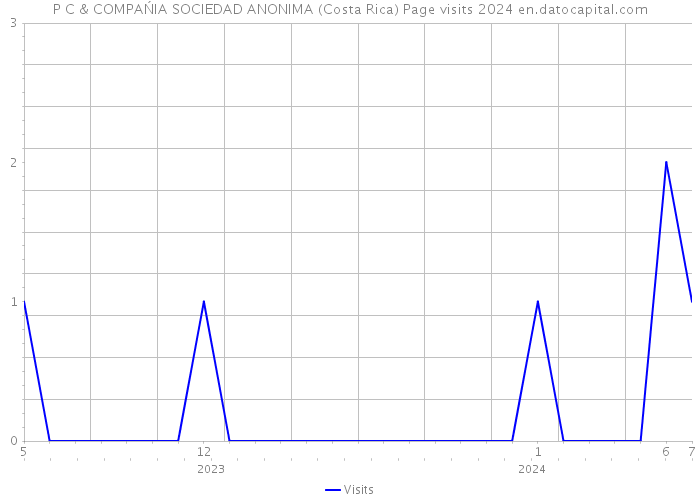 P C & COMPAŃIA SOCIEDAD ANONIMA (Costa Rica) Page visits 2024 